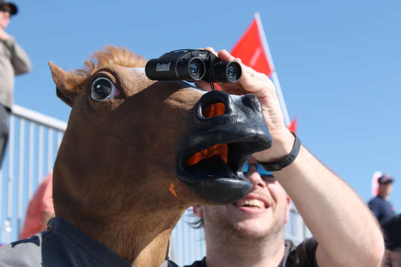 Illustration for article titled Formula 1 Is More Fun In A Horse Mask